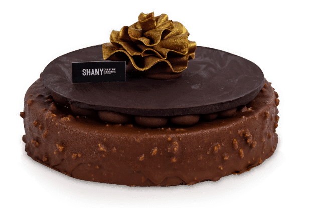 קטלוג מוצרים