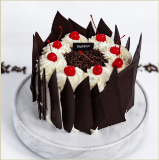 טורטים פרימיום